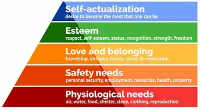 What is the Relationship Between Human Needs and Human Rights?