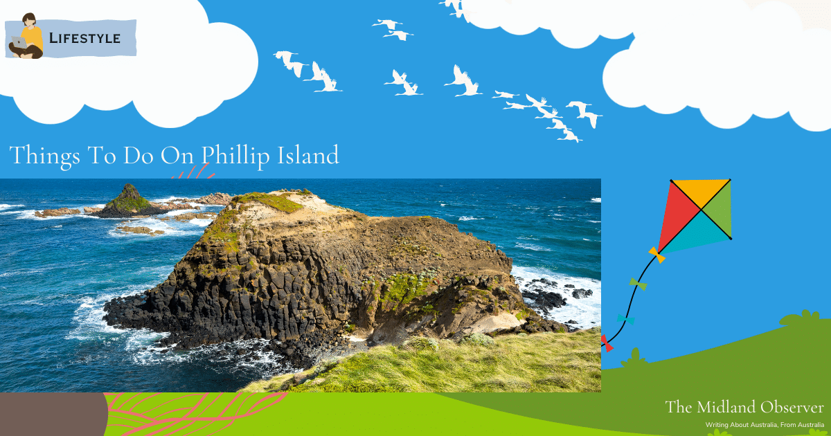 Read more about the article Things To Do On Phillip Island