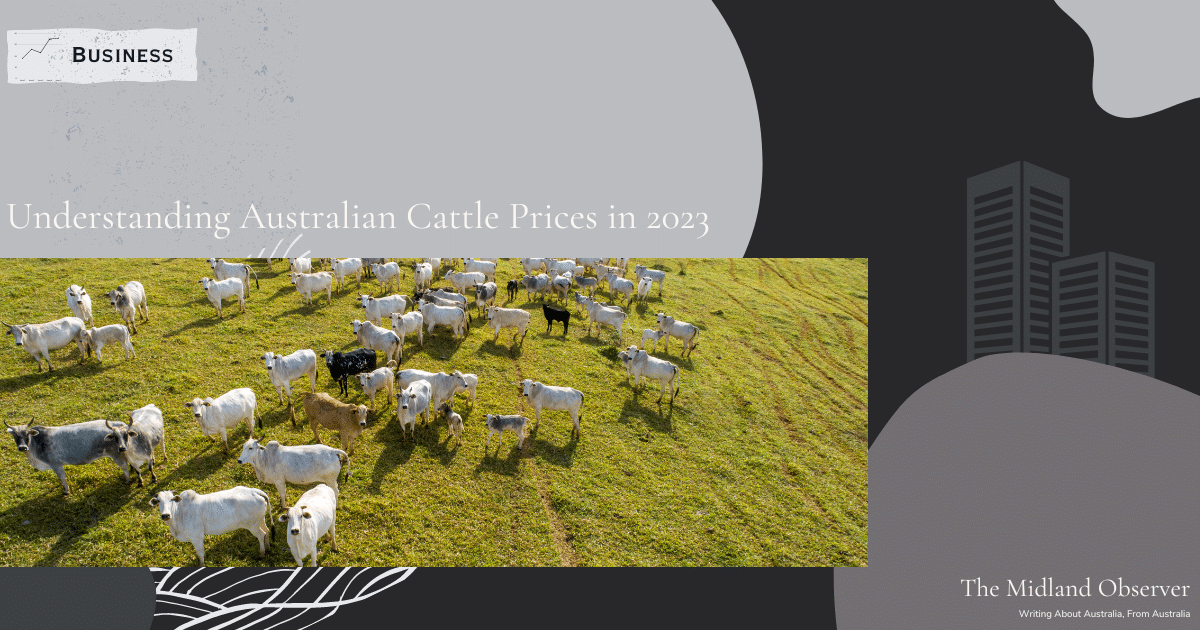 Read more about the article Understanding Australian Cattle Prices in 2023