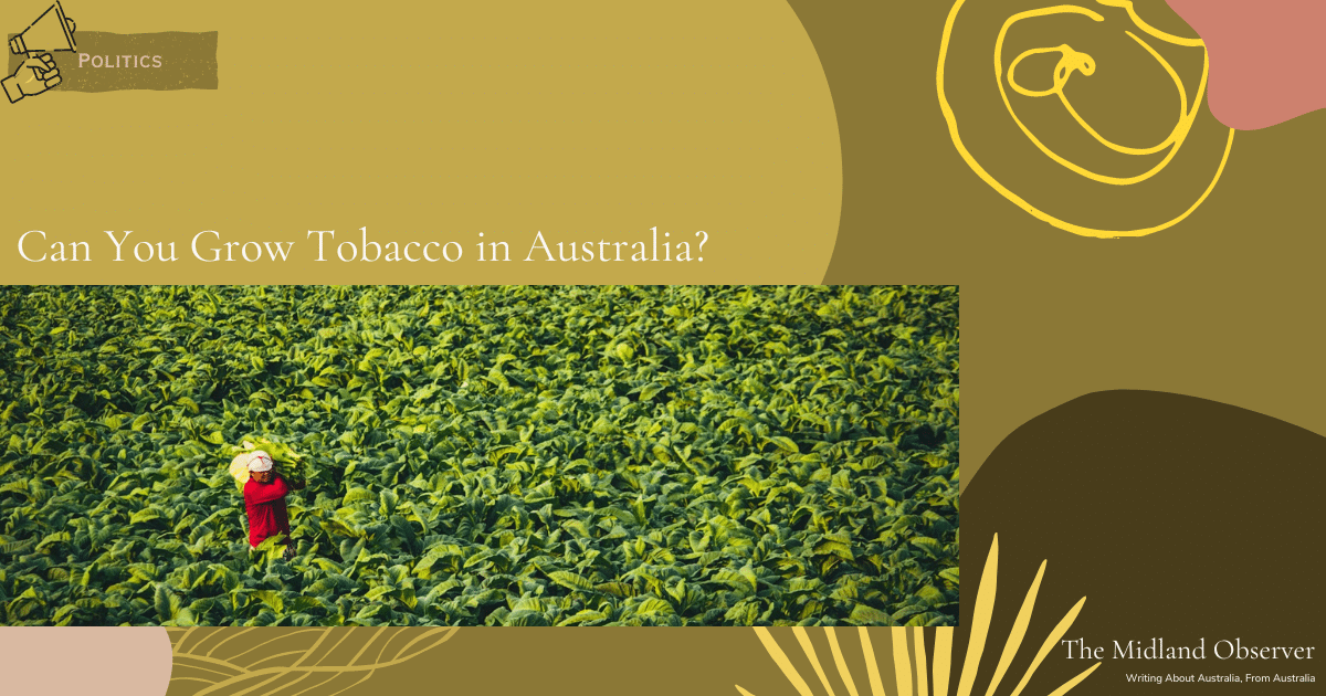 Read more about the article Can You Grow Tobacco in Australia?