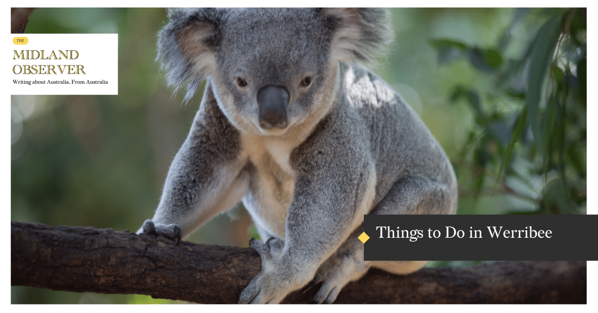 Read more about the article Things to Do in Werribee