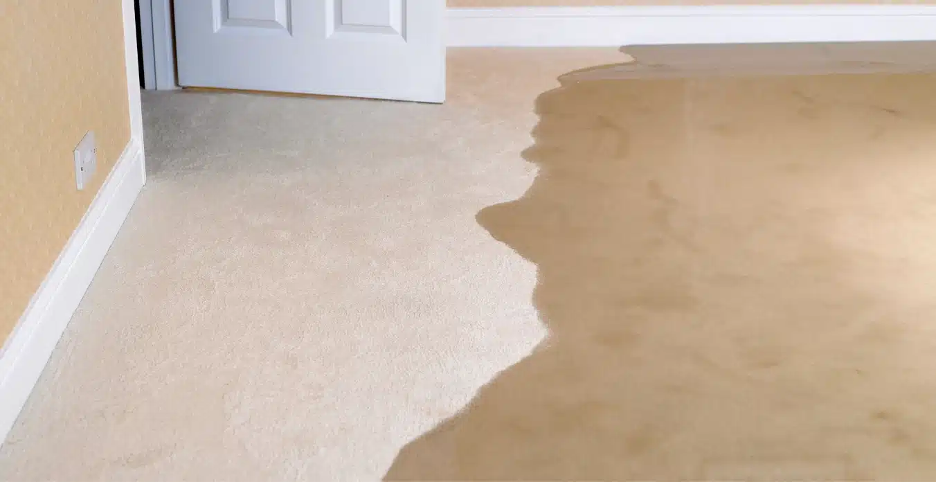 Read more about the article How to Prevent Your Basement from Flooding