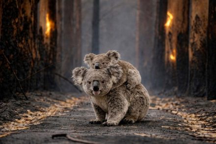 Climate-Change-Initiatives