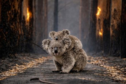 Climate-Change-Initiatives