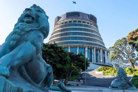 New Zealand Politics