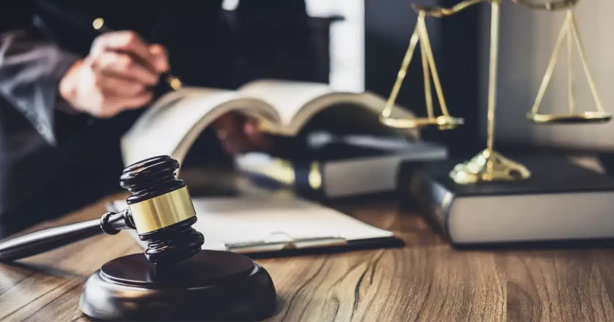 Should You Study Law