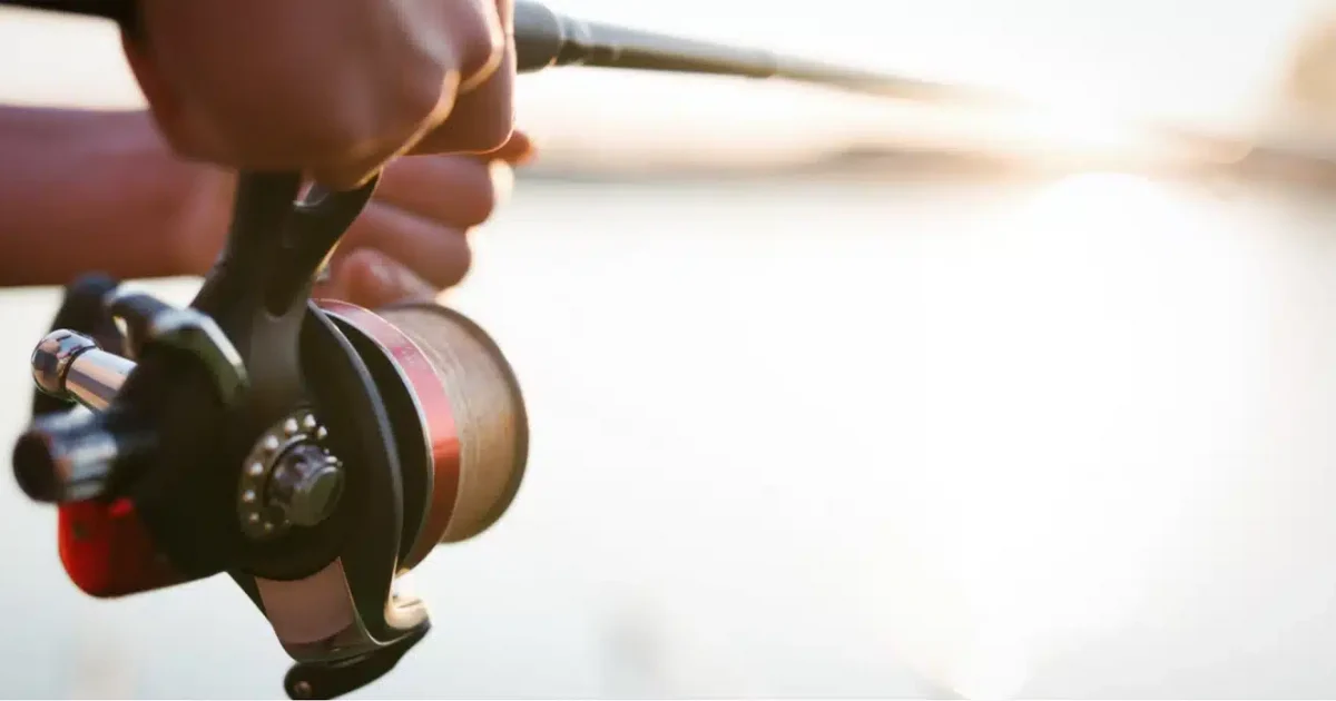 The Pros and Cons of Braided Fishing Lines_ What Every Angler Needs to Know