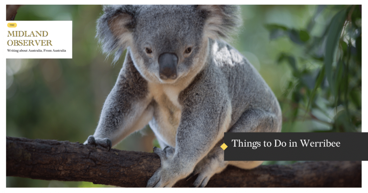 Things to Do in Werribee