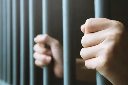 Why did Pauline Hanson Go to Jail