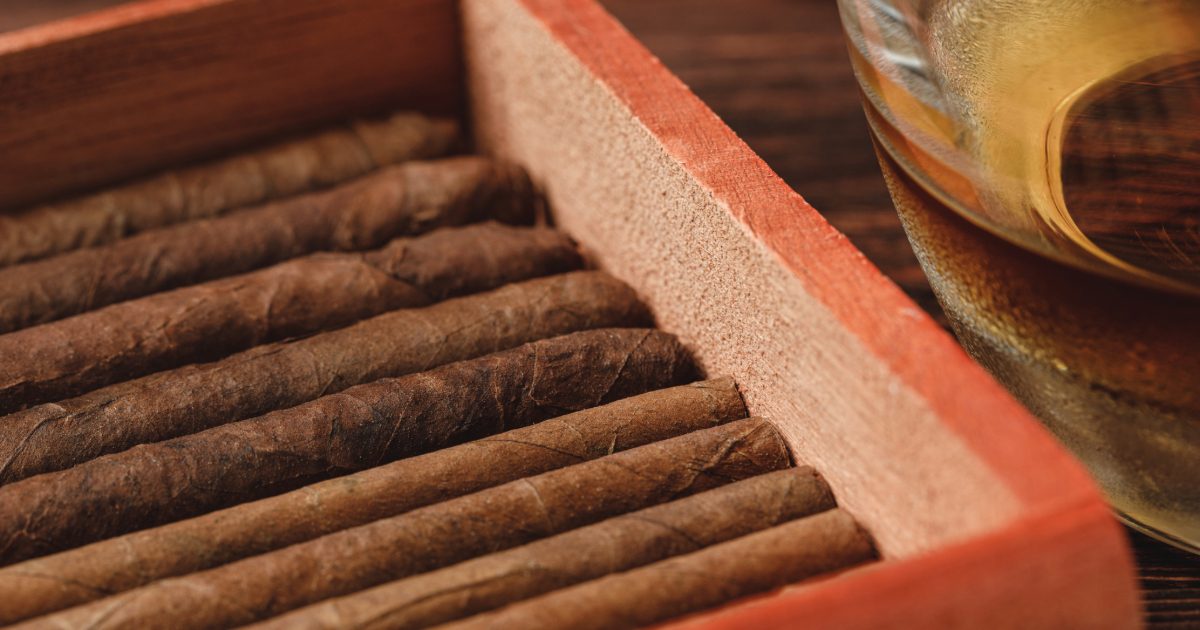 premium cigars in wooden box humidor
